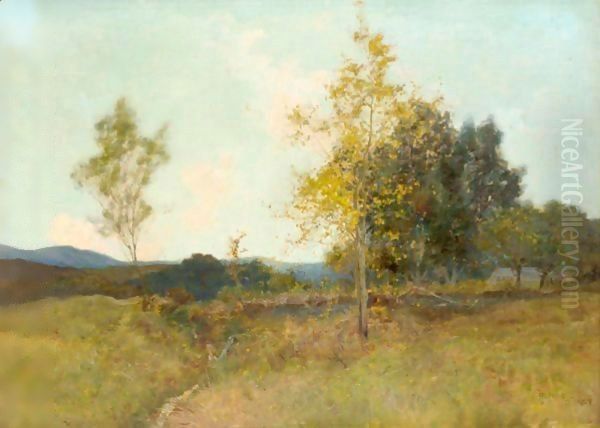 The Brook - view 1