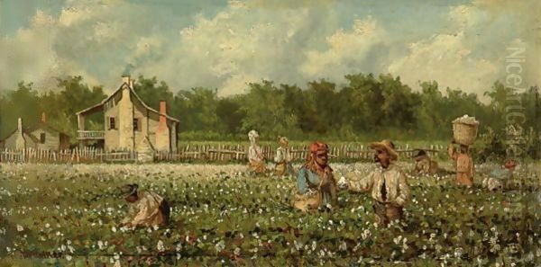 Cotton Field - view 1