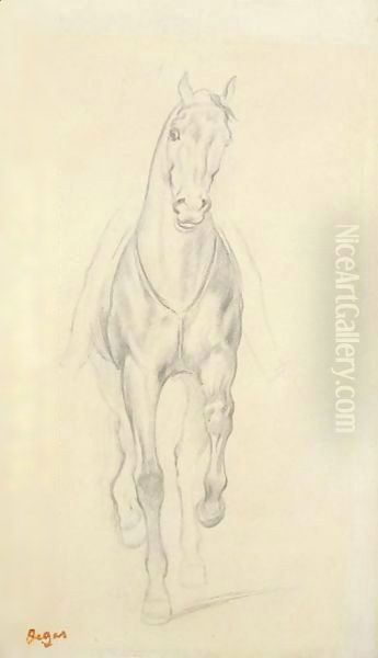 Cheval De Selle - view 1