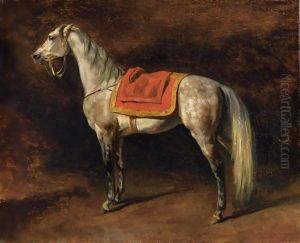 Cheval De Napoleon