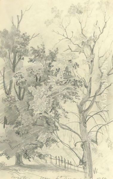 Wooded Landscape Near St. Germain - view 1