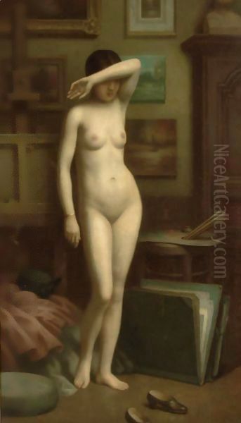 The Reluctant Model - view 1