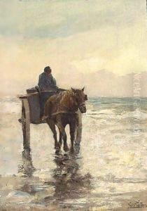 The Shell Fisher