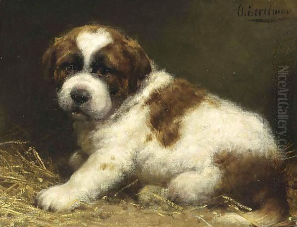 A Saint Bernard Puppy 2 - view 1