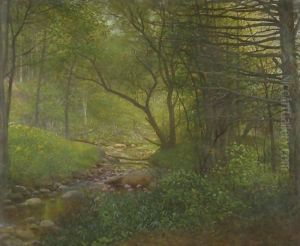 Woods And Stream by William Lippincott