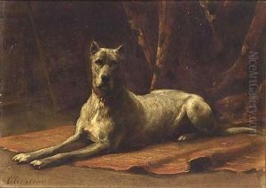 A Dog by Otto Eerelman