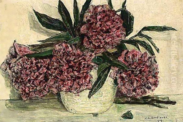 'Rhodondendrons' - view 1