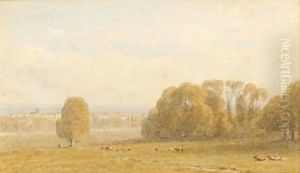 Cattle Grazing By Streatley On Thames