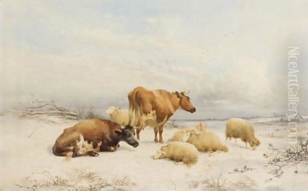Winter - Sheep And Cattle - view 1