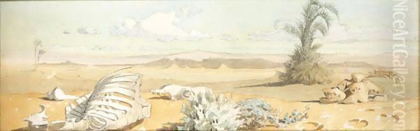 Onthe Desert Floor, East Of Red Sea - view 1