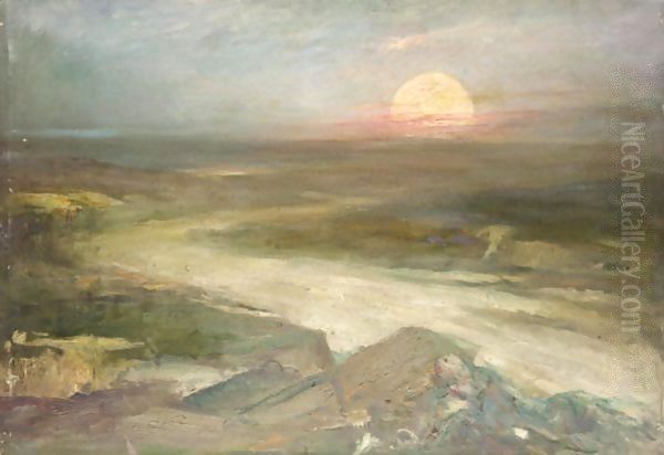 Flood Plain At Sunset - view 1