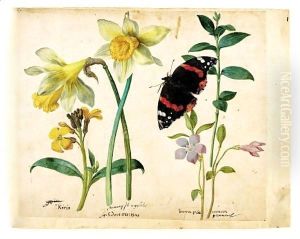 A Sheet Of Studies Of Flowers A Gilliflower, Two Wild Daffodils, A Lesser Periwinkle And A Red Admiral Butterfly