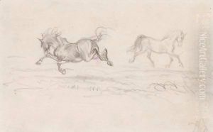 Two Stallions Two Stallions