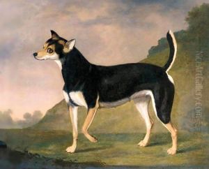 A Terrier In A Landscape