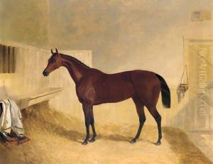 Mr William Orde's Bay Filly Bees-Wing In A Loose Box 2 Mr William Orde's Bay Filly Bees-Wing In A Loose Box 2