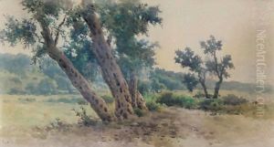 Olive Trees by Angelos Giallina