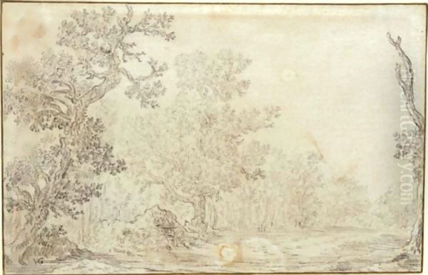 View Of A Clearing In A Wood - view 1