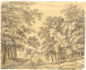 A Figure Walking Through Woodland A Figure Walking Through Woodland