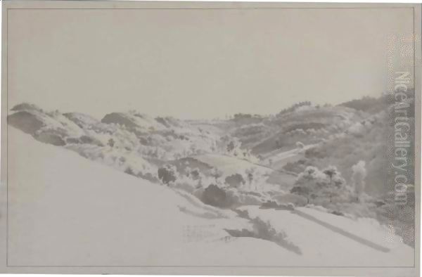 An Extensive Hilly Landscape - view 1