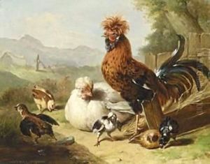 The Rooster A´s Family by Adriana-Johanna Haanen