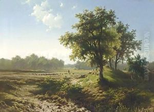 A View Of The Veluwe In Summer A View Of The Veluwe In Summer