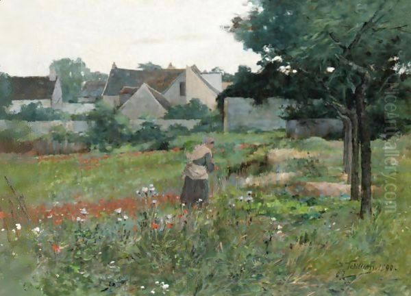 The Poppy Field - view 1