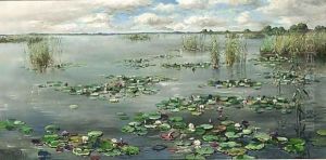 Plasgezicht Met Waterlelies