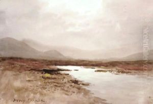 Sunlight Over Bog, Ireland by William Percy French