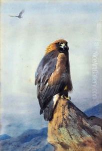 A Golden Eagle 2 by Archibald Thorburn