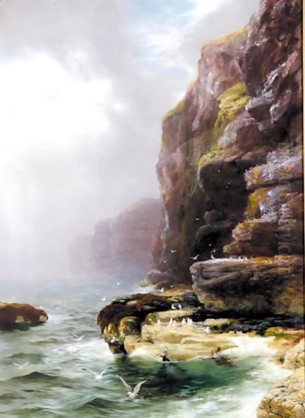 The Sea Birds' Haunt - view 1