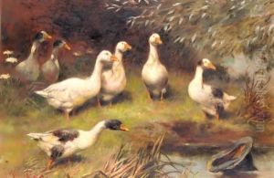 The Top Hat by Herbert William Weekes