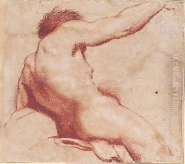 Seated Male Nude With Raised Arm, Seen From Behind - view 1