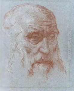 Study Of The Head Of A Bearded Man by Giovanni Battista Tiepolo