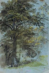 Study Of A Clump Of Trees by Johann Jakob The Younger Dorner