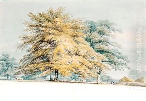 A Beech Copse Near Haystacks by Joseph Mallord William Turner
