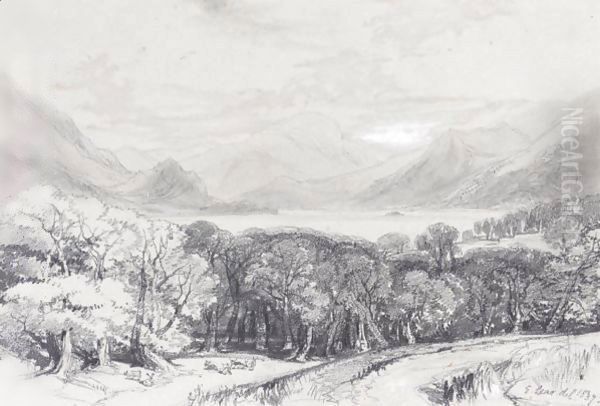 Ullswater From Gowsbarrow Park - view 1