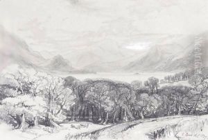 Ullswater From Gowsbarrow Park