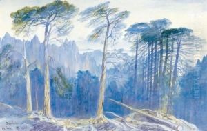 The Pine Forest Of Bavella, Corsica by Edward Lear