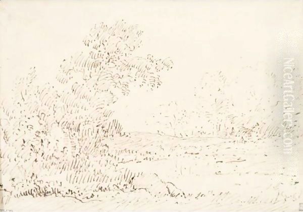 Paysage - view 1