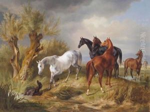 Vollbluter Auf Der Weide (Thoroughbreds In A Pasture) by Adam Albrecht
