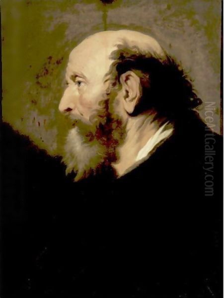 Profile Portrait Of A Bearded Man - view 1