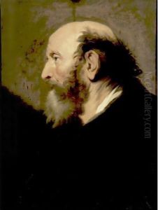 Profile Portrait Of A Bearded Man by Jacob Adriaensz Backer