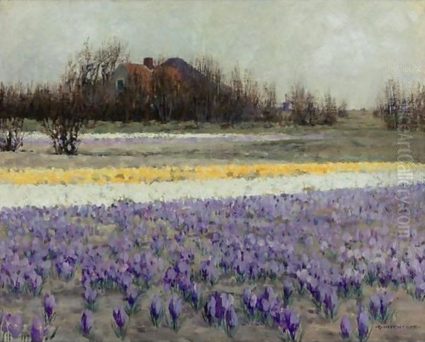 A Field Of Crocuses - view 1