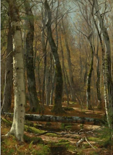 Wooded Interior - view 1