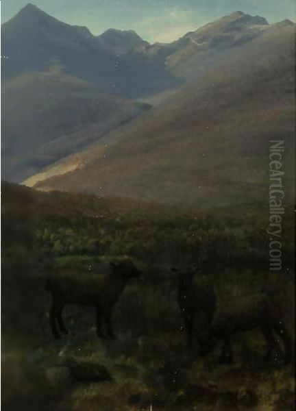 White Mountains Near Glen House - view 1