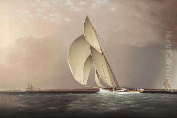 Yachts Racing Off Sandy Hook - view 1