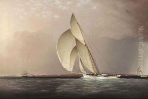 Yachts Racing Off Sandy Hook