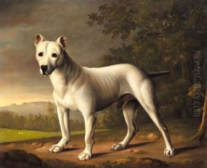A Bull Terrier In A Landscape by George Nairn