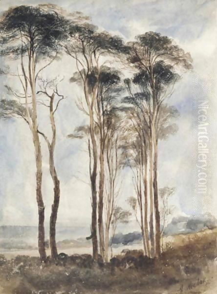 Scots Pines - view 1