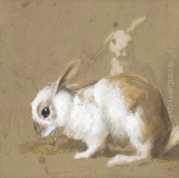 Rabbits - view 1
